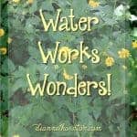 Without the water of the Word, our hearts become dry and crusty. Water works wonders! A little bit of water every day, and we begin to thrive!