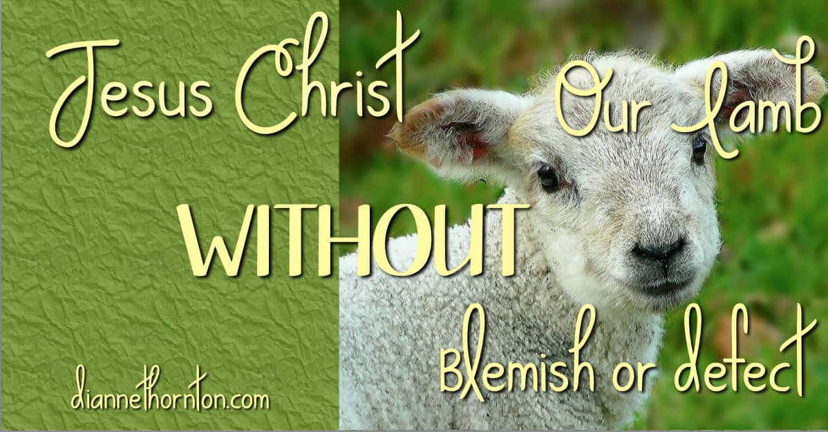 Has anyone ever traded places with you? Taken the tough road so you didn't have to? Jesus did! He is your lamb without blemish!