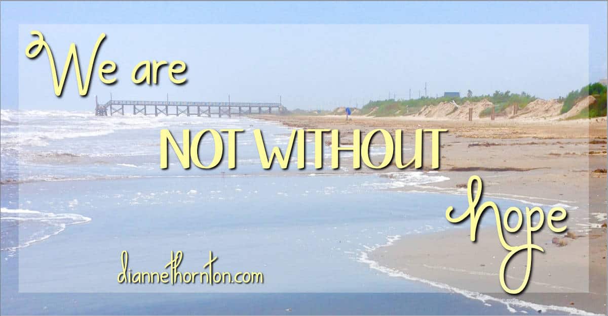 Let's face it. Sometimes life stinks. Sometimes that is putting it mildly. As believers, we don't despair. We are NOT WITHOUT hope. God has a plan in place.