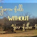 Not a Sparrow Falls WITHOUT Your Father Knowing