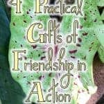 Friendship is a gift. Often we don't recognize the gifts that accompany it until we are in a crisis. Here are 4 practical gifts of friendship in action.