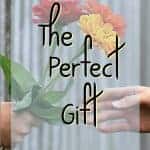 God is the Giver of every good and perfect gift. What is the perfect gift? Read on to find out!