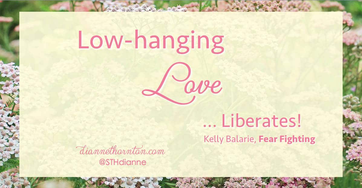 Do you struggle with fear? Are you a fear dweller? You can be a Fear Fighter! Check out Kelly Balarie's new book FEAR FIGHTING! #fearfightingbook