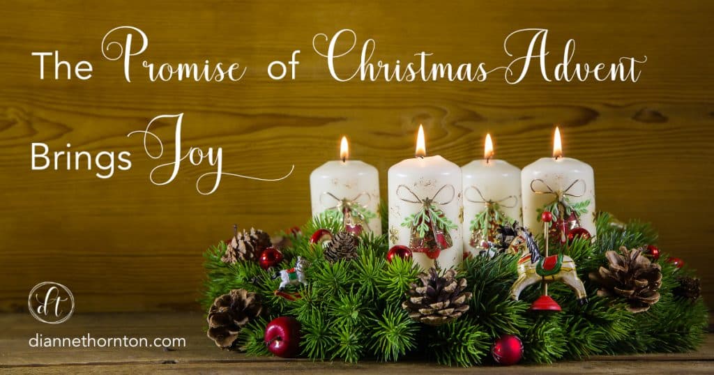 Anticipating Christ's birth during the Christmas Advent season changes everything. These suggestions will prepare your heart for true joy!