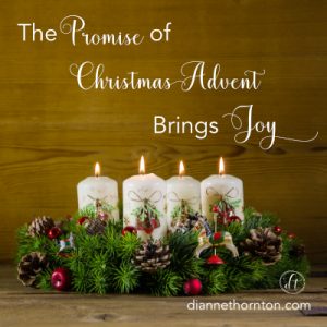 Anticipating Christ's birth during the Christmas Advent season changes everything. These suggestions will prepare your heart for true joy!